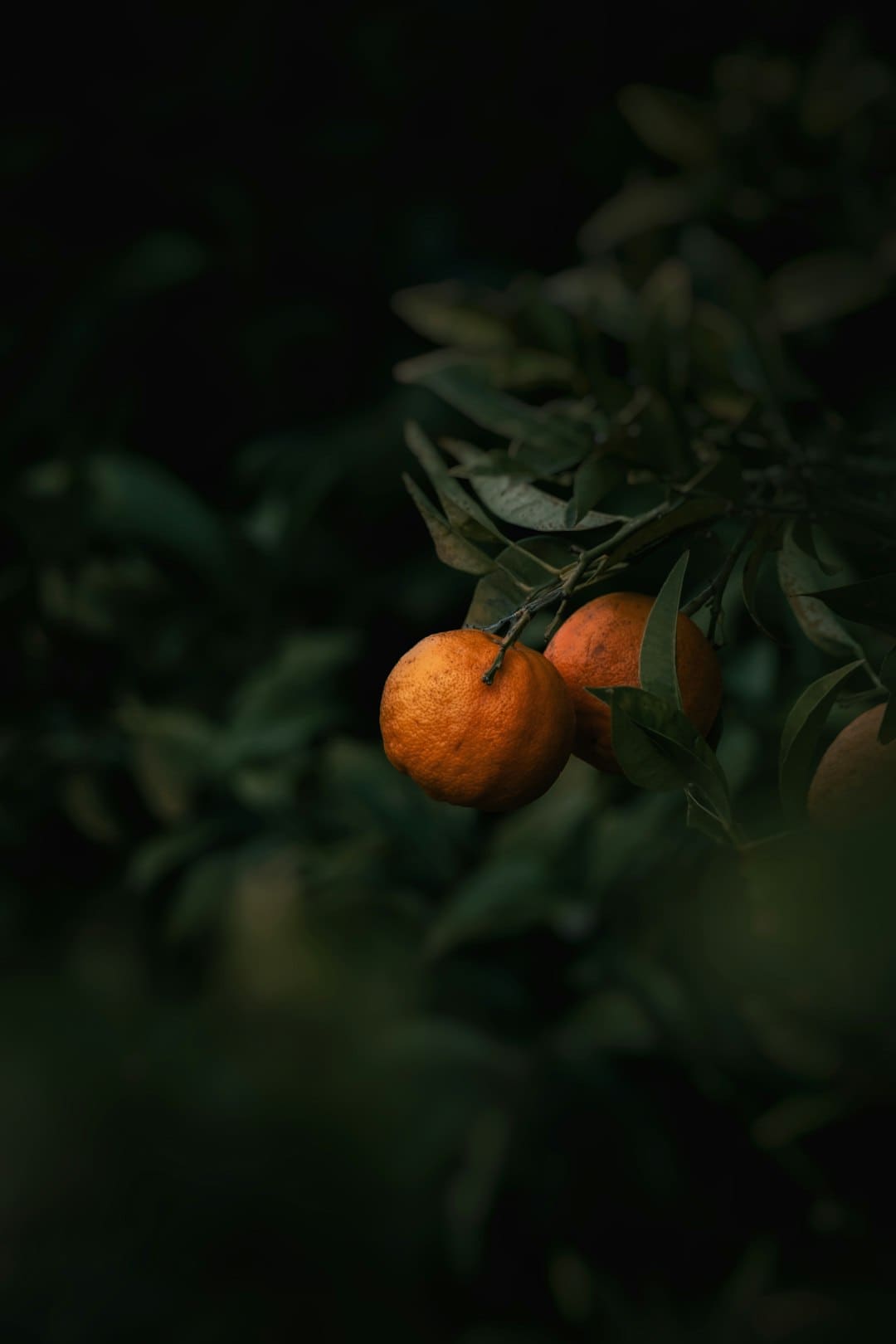 鹿晗拒绝staff帮忙系鞋带 真偶像的风采